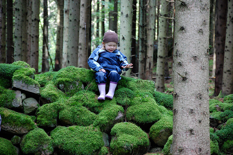 Mit Baby auf Reisen im skandinavischen Wald.