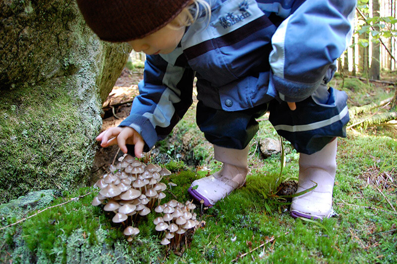 Nach Norwegen mit Baby und im Wald Pilze entdecken