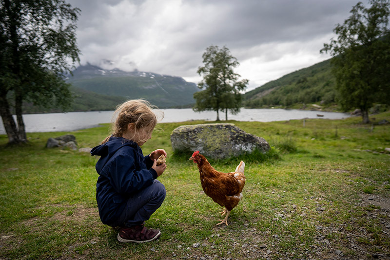 Mädchen auf einer Wiese mit einem braunen Huhn, im Hintergrund Wasser und Berge