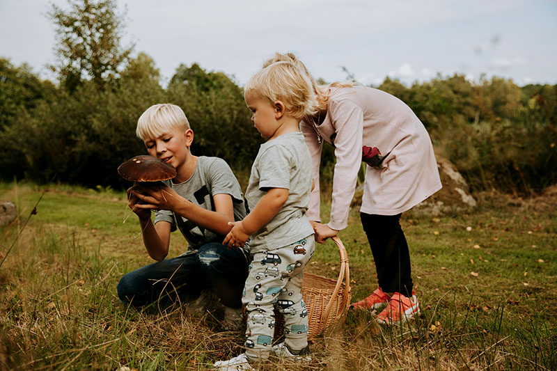 Drei Kinder stehen auf einer Wiese mit einem Korb. Ein Kind hat einen Pilz in der Hand.